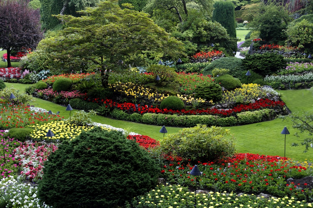 Spring flower beds